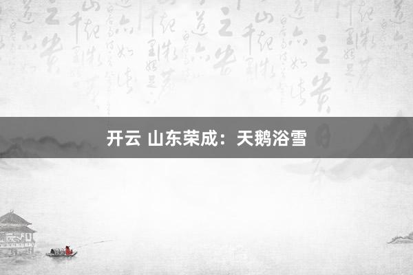 开云 山东荣成：天鹅浴雪