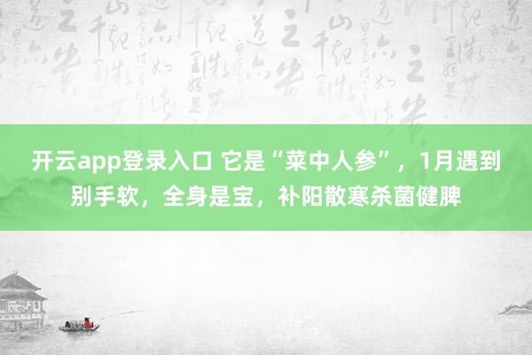 开云app登录入口 它是“菜中人参”，1月遇到别手软，全身是宝，补阳散寒杀菌健脾