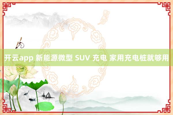 开云app 新能源微型 SUV 充电 家用充电桩就够用