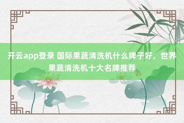 开云app登录 国际果蔬清洗机什么牌子好，世界果蔬清洗机十大名牌推荐