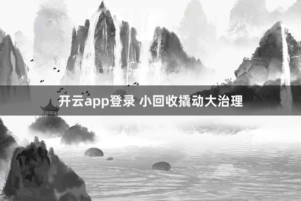 开云app登录 小回收撬动大治理