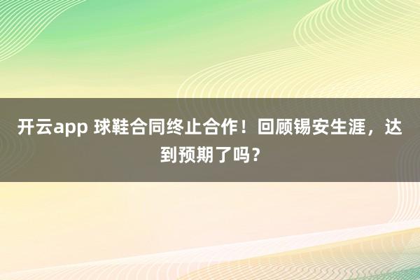 开云app 球鞋合同终止合作!回顾锡安生涯,达到预期了吗?