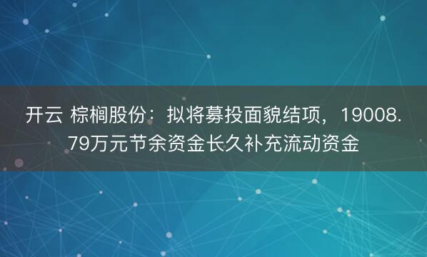 开云 棕榈股份：拟将募投面貌结项，19008.79万元节余资金长久补充流动资金
