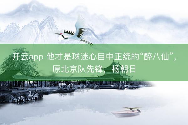 开云app 他才是球迷心目中正统的“醉八仙”,原北京队先锋,杨朝日